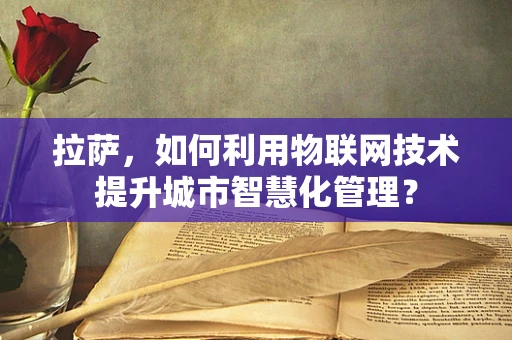 拉萨，如何利用物联网技术提升城市智慧化管理？