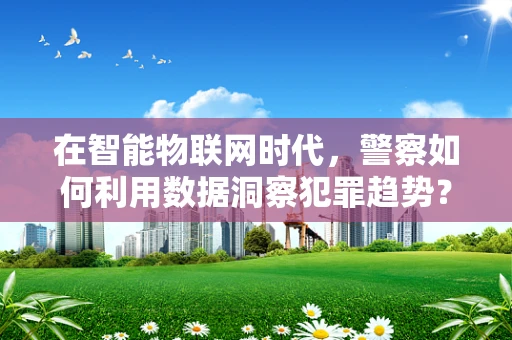 在智能物联网时代，警察如何利用数据洞察犯罪趋势？