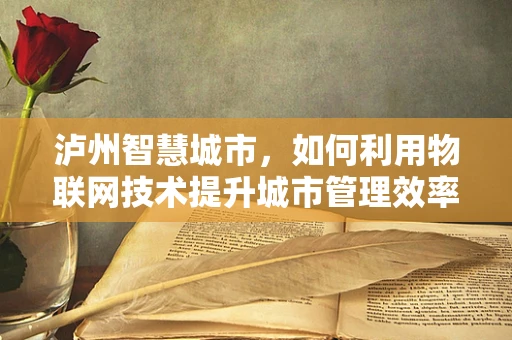 泸州智慧城市，如何利用物联网技术提升城市管理效率？