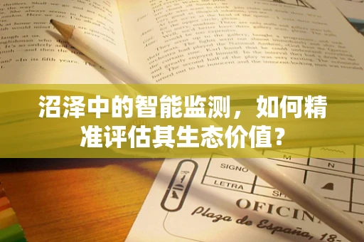 沼泽中的智能监测，如何精准评估其生态价值？