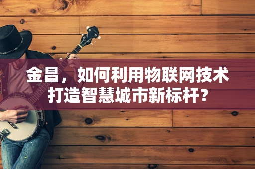 金昌，如何利用物联网技术打造智慧城市新标杆？
