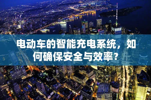 电动车的智能充电系统，如何确保安全与效率？