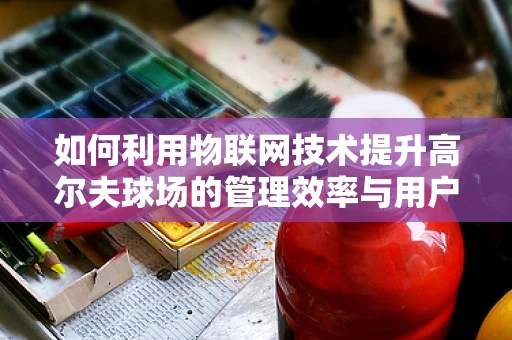 如何利用物联网技术提升高尔夫球场的管理效率与用户体验？
