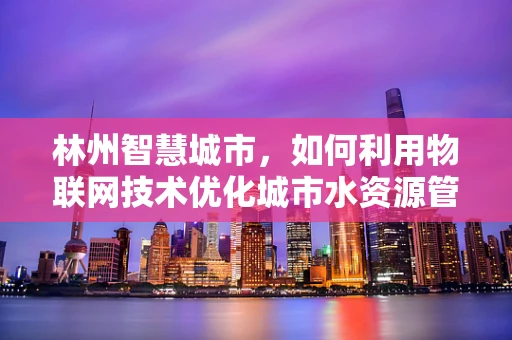 林州智慧城市，如何利用物联网技术优化城市水资源管理？