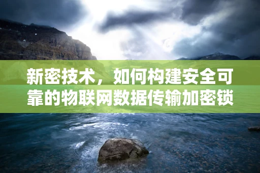 新密技术，如何构建安全可靠的物联网数据传输加密锁？