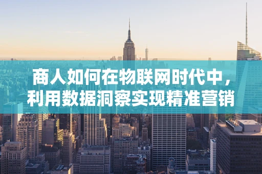 商人如何在物联网时代中，利用数据洞察实现精准营销？