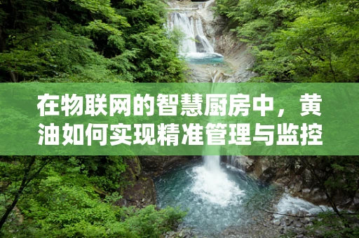 在物联网的智慧厨房中，黄油如何实现精准管理与监控？