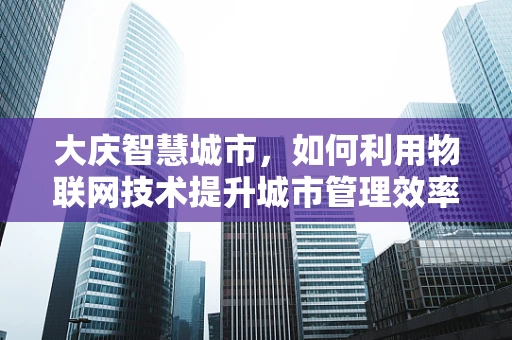 大庆智慧城市，如何利用物联网技术提升城市管理效率？