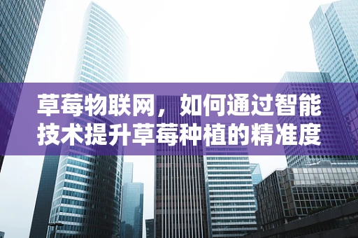 草莓物联网，如何通过智能技术提升草莓种植的精准度与效率？