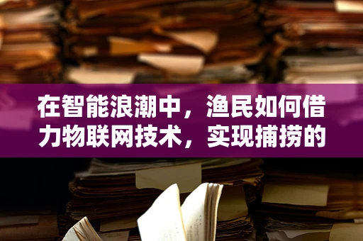 在智能浪潮中，渔民如何借力物联网技术，实现捕捞的‘智慧转型’？