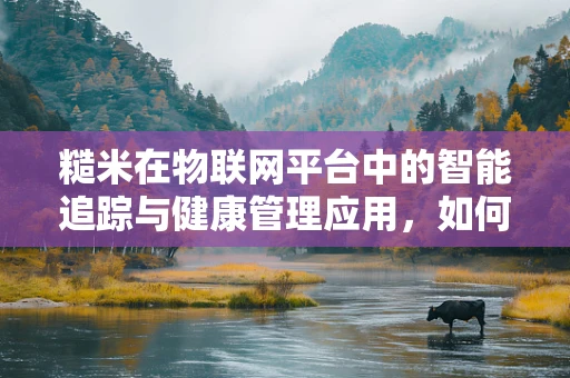 糙米在物联网平台中的智能追踪与健康管理应用，如何实现精准监控？