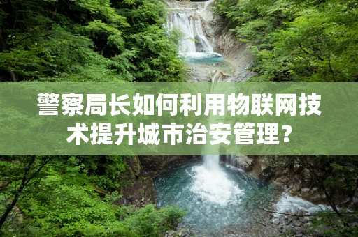 警察局长如何利用物联网技术提升城市治安管理？