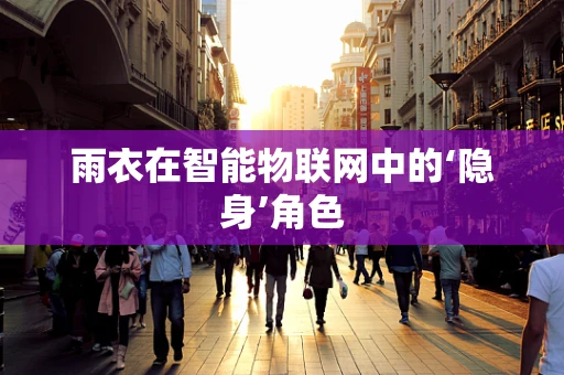 雨衣在智能物联网中的‘隐身’角色