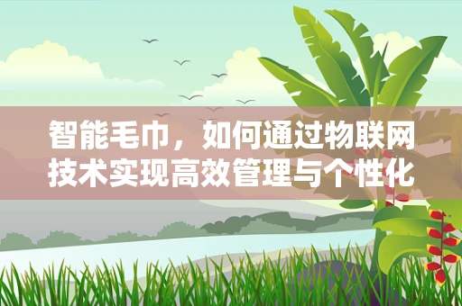 智能毛巾，如何通过物联网技术实现高效管理与个性化服务？