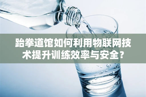 跆拳道馆如何利用物联网技术提升训练效率与安全？