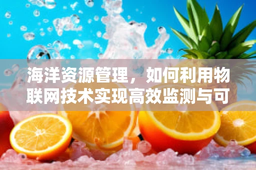 海洋资源管理，如何利用物联网技术实现高效监测与可持续利用？