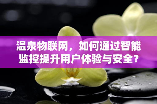 温泉物联网，如何通过智能监控提升用户体验与安全？
