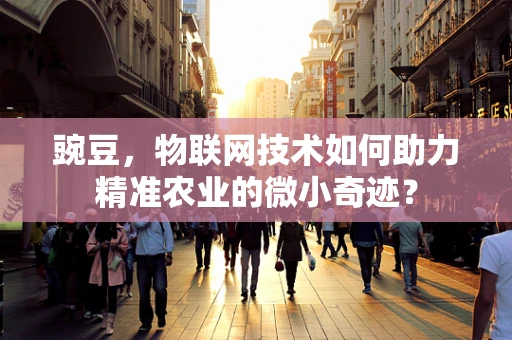 豌豆，物联网技术如何助力精准农业的微小奇迹？