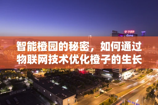 智能橙园的秘密，如何通过物联网技术优化橙子的生长环境？