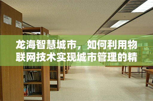 龙海智慧城市，如何利用物联网技术实现城市管理的精细化与智能化？