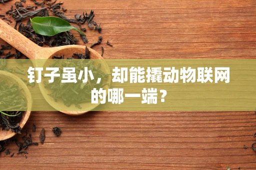 钉子虽小，却能撬动物联网的哪一端？