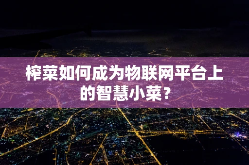 榨菜如何成为物联网平台上的智慧小菜？