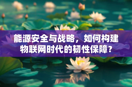 能源安全与战略，如何构建物联网时代的韧性保障？