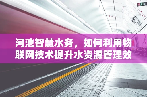 河池智慧水务，如何利用物联网技术提升水资源管理效率？