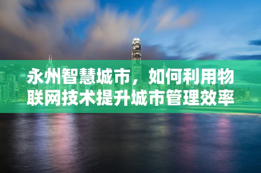 永州智慧城市，如何利用物联网技术提升城市管理效率？