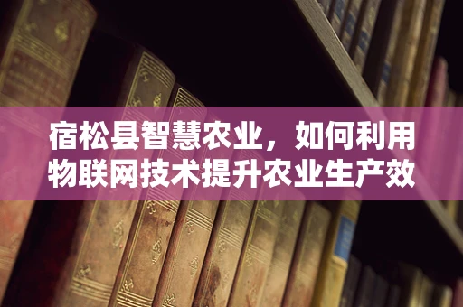 宿松县智慧农业，如何利用物联网技术提升农业生产效率？