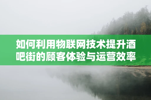 如何利用物联网技术提升酒吧街的顾客体验与运营效率？