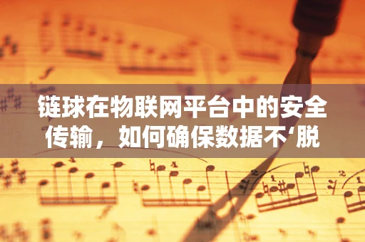 链球在物联网平台中的安全传输，如何确保数据不‘脱轨’？
