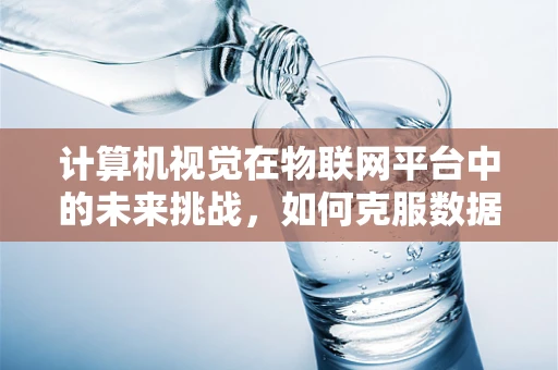 计算机视觉在物联网平台中的未来挑战，如何克服数据隐私与安全性的难题？