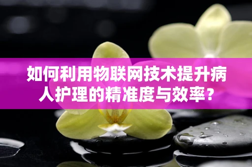 如何利用物联网技术提升病人护理的精准度与效率？