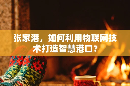 张家港，如何利用物联网技术打造智慧港口？