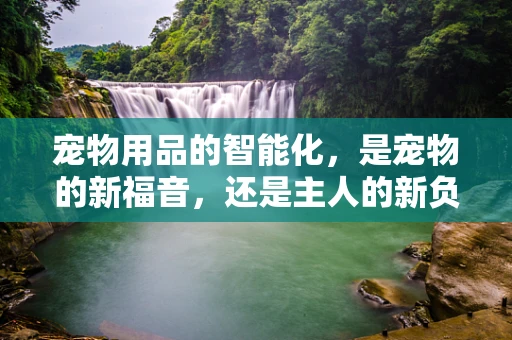 宠物用品的智能化，是宠物的新福音，还是主人的新负担？