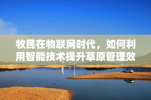 牧民在物联网时代，如何利用智能技术提升草原管理效率？