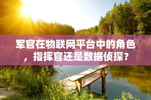 军官在物联网平台中的角色，指挥官还是数据侦探？