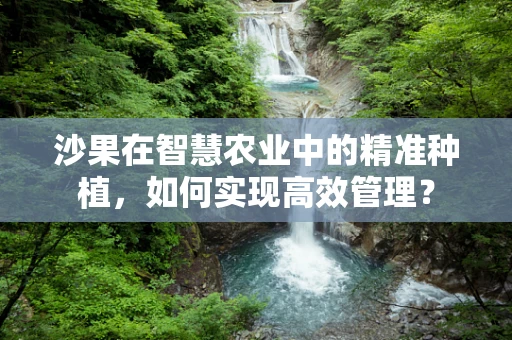 沙果在智慧农业中的精准种植，如何实现高效管理？