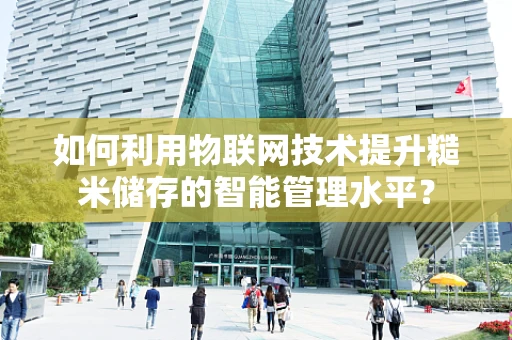 如何利用物联网技术提升糙米储存的智能管理水平？