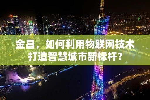 金昌，如何利用物联网技术打造智慧城市新标杆？