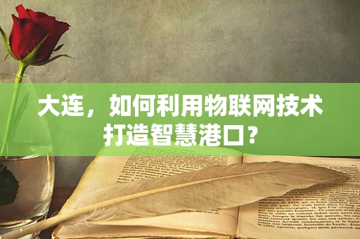 大连，如何利用物联网技术打造智慧港口？