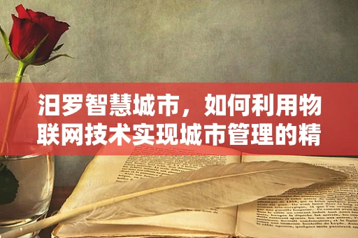 汨罗智慧城市，如何利用物联网技术实现城市管理的精细化与智能化？