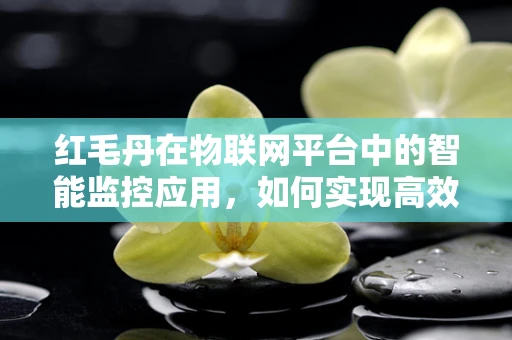 红毛丹在物联网平台中的智能监控应用，如何实现高效监控与预警？