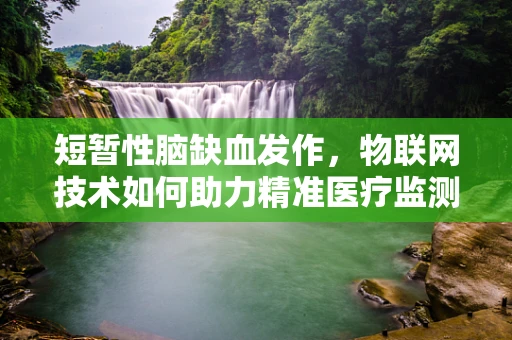 短暂性脑缺血发作，物联网技术如何助力精准医疗监测？