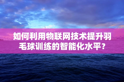 如何利用物联网技术提升羽毛球训练的智能化水平？
