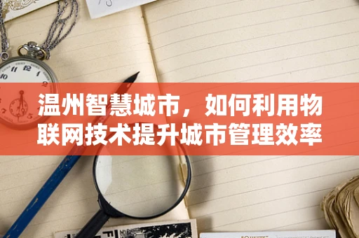 温州智慧城市，如何利用物联网技术提升城市管理效率？