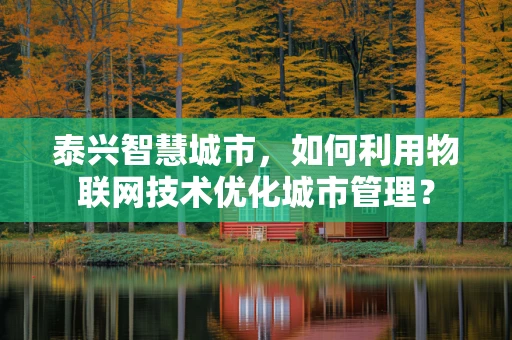 泰兴智慧城市，如何利用物联网技术优化城市管理？