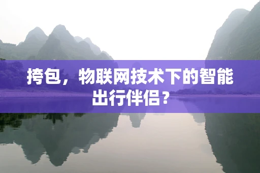 挎包，物联网技术下的智能出行伴侣？