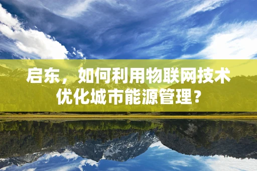 启东，如何利用物联网技术优化城市能源管理？